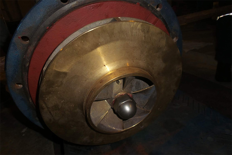 mechanical seal, shaft, bearing, impeller and back casing have been replaced.